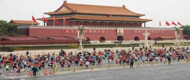 运动场地综合施工服务